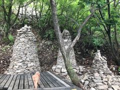 -帽儿山国家森林公园