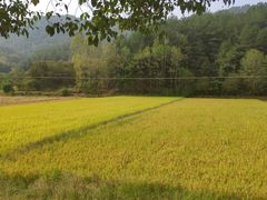 -罗田天堂寨风景区