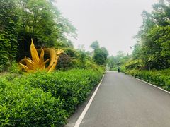 -宜兴龙背山森林公园