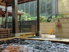 -春晖园度假酒店温泉