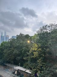 -上海首尔丽格医疗美容医院