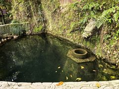 -十八棵（老龙井）御茶园(老龙井店)