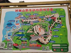 -西霞口神雕山野生动物世界