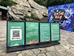 -合肥野生动物园