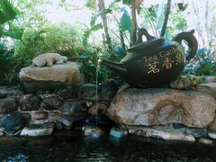 -厦门日月谷温泉渡假村