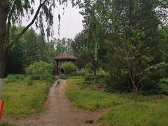 -莲花池公园