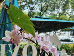 -街角 T·COFFEE 融合料理·BISTRO(车公庙店)