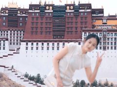 -布达拉宫
