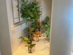 -悦润荟美容抗衰中心