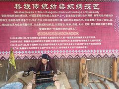 -海南槟榔谷黎苗文化旅游区