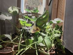 -邈墨茶馆(凤起路店)