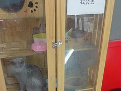 -203密室体验馆·逃脱·聚会·亲子(工体店)