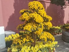 -喜鹊愉家酒店(郑州曼哈顿博览中心地铁站店)