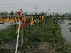 android_upload_pic-同銮特种养殖场·龙虾垂钓