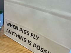 -WHEN PIGS FLY当猪飞