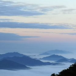 -YASAKI国际舞蹈中心