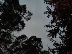 -广州市白云山风景名胜区