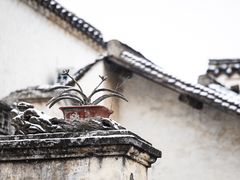 -惠山古镇·寄畅园