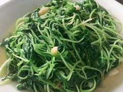 灵芝菜-徽州美食(三十年老店)