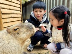 -宁波野生动物园