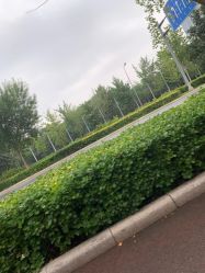 -HEYAN长风荷妍专业脱毛美肤
