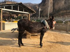 -梁家河村红色旅游区