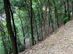 -羚羊峡古栈道森林公园