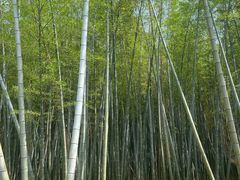 -同里国家湿地公园