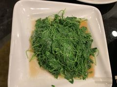 -新南华大酒店(长寿店)