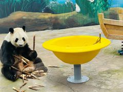 -鄂尔多斯野生动物园