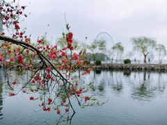 -无锡蠡湖国家湿地公园-蠡园