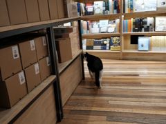 -猫的天空之城概念书店(杭州南宋御街店)