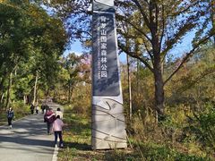 -青龙山国家森林公园