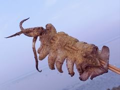 -海鲜人家(吕四店)