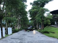 -瑞穗牧场