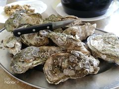 -南沙十九涌渔人码头-南门