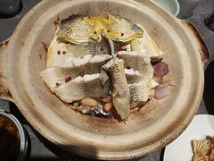 -1937青岛老味道·海肠捞饭·青岛菜(大鲍岛栈桥店)