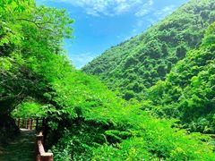 -汉中石门栈道风景区