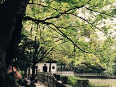 -汇龙潭