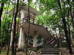 -火炉山森林公园