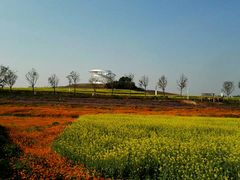 -光明小镇欢乐田园