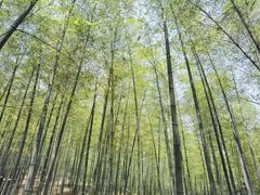 -陶祖圣境风景区