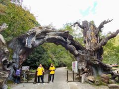 -龙湾潭国家森林公园