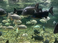 -成都浩海立方海洋公园