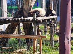 -沈阳森林动物园