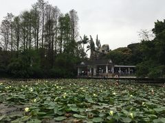 -四海公园(南山区)
