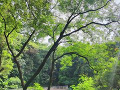 -广州市白云山风景名胜区