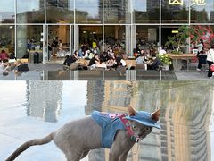 -SAANCI山池咖啡(海上世界文化艺术中心店)