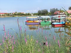 -上海长兴岛郊野公园