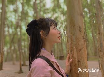 位置：龙泉山脚下，距离龙泉中心音乐广场3公里